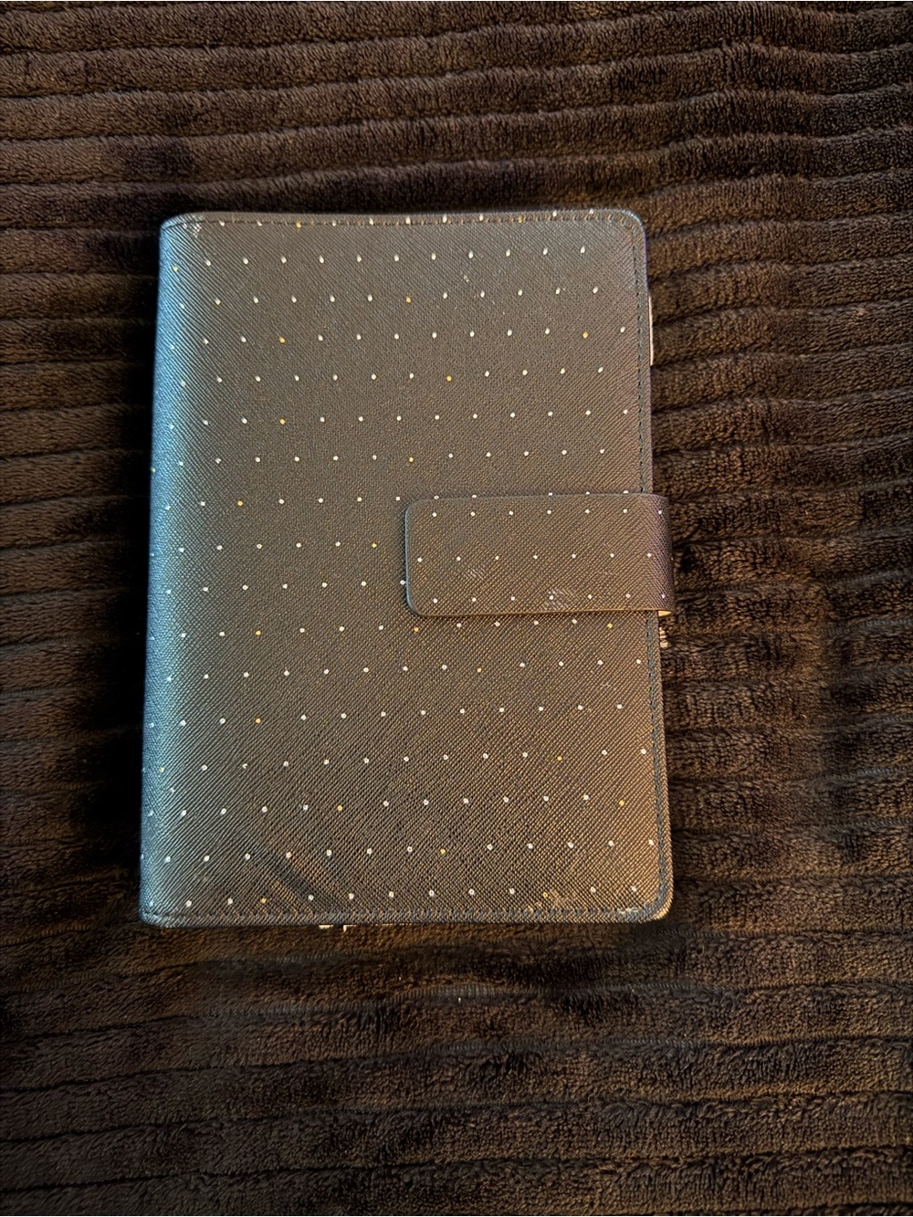 Budget Binder-Budgeting and Saving Money